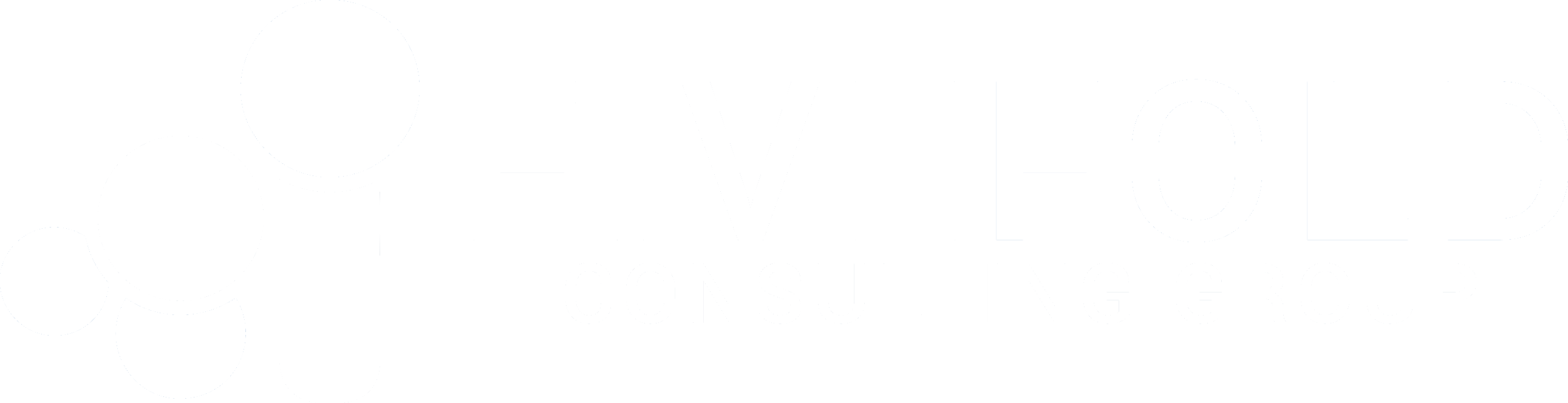 Fivefold Consulting Group